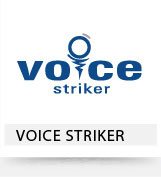voice product